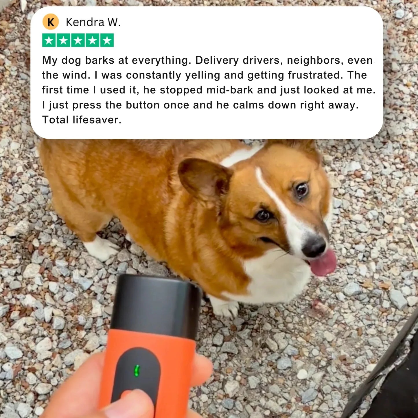 The BarkGuard™ Pro
