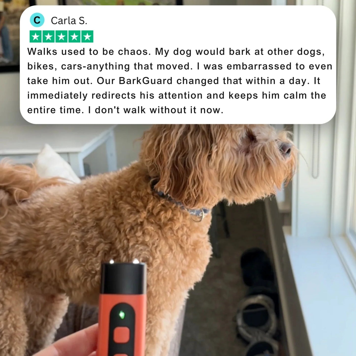 The BarkGuard™ Pro